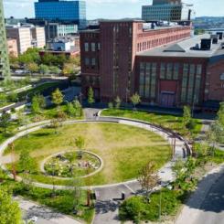 Samtliga projekt bidrar till ShiftSwedens mission att ställa om Sverige till attraktiva och tillgängliga livsmiljöer för alla. Vyn illustrerar Lindholmens mix av äldre byggnader från varvsepoken och nybyggnationer för industri såväl som boenden, med Frihamnen i bakgrunden. Foto: Älvstranden Utveckling