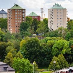Foto: Bjurfors