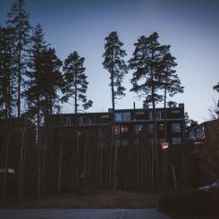 Foto: Stefan Rogo / Unsplash