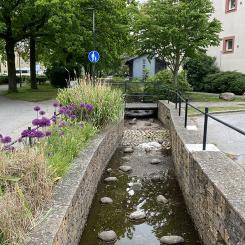 Vattenkanaler i i bostadsområdet Augustenborg i Malmö. Foto: Johan Holmqvist/IVL